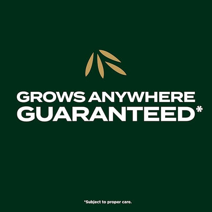 Scotts EZ Seed Patch & Repair Southern Gold Blend for Tall Fescue Lawns, Mulch, Grass Seed and Fertilizer for Bare Spots and Repair, Bred for The South, 20 lbs.