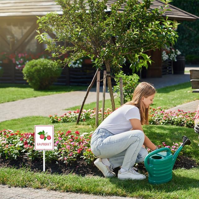 Raspberry Marker Yard Sign with Stakes 7in×8.8in, Aluminum Garden Signs, Garden Plant Markers Garden Potted Plants Labels for Vegetable Flowers Funny Garden Stakes Decorations