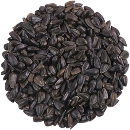 CountryMax Backyard Seeds Black Oil Sunflower Seeds for Wild Birds 25lbs - Thin Shells, Premium Cardinal Food, Medium Bag of Black Oil Sunflower Seeds