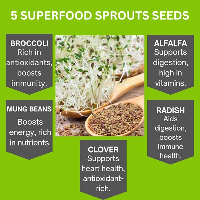 ZestiGreens Sprouting Seed Sampler – 5 Top Varieties (1 Pack Each, 11 g) | Broccoli, Alfalfa, Mung Bean, Clover & Daikon Radish | High-Germination, Perfect for Jars & Trays