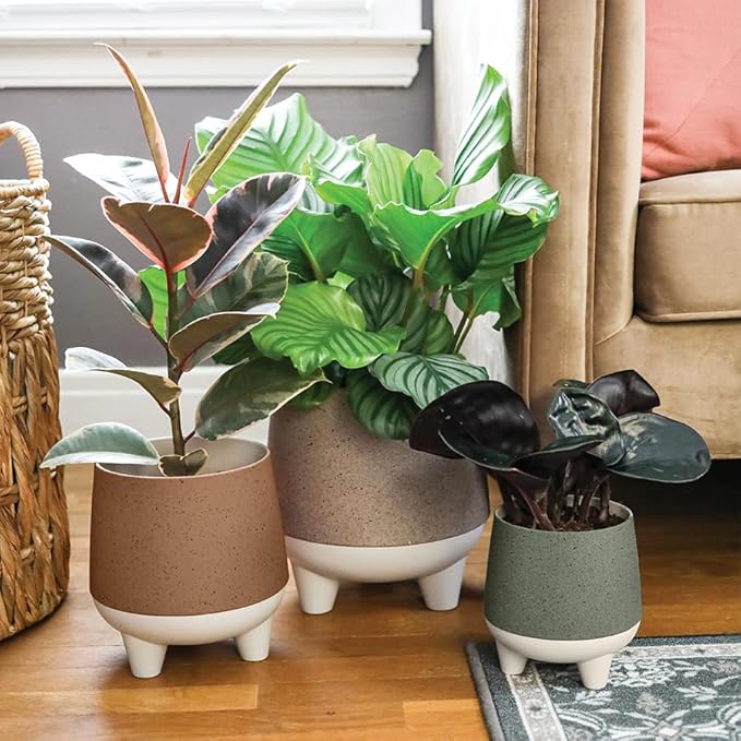 The HC Companies 6 Inch, 8 Inch and 10 Inch Orion Self Watering Planter - Lightweight Indoor Plastic Plant Pot for Herbs and Flowers, Muted Clay (3 Pack)