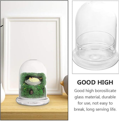 Cabilock 2pcs Clear Glass Bell Jar Cloche Dome Display Centerpiece Decorative Case Tabletop Containers Mini Glass Terrarium Garden Vases for Ferns Succulents Bromeliads