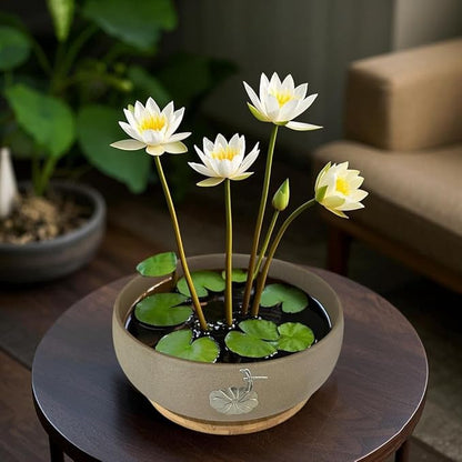 MUZHI Round Ceramic Hydroponic Bowl Lotus Planter Pot with Bamboo Tray, Classic Pottery Water Lily Bowl Planter Container Inlaid Dragonfly and Lotus Leaf Decor 7.3"