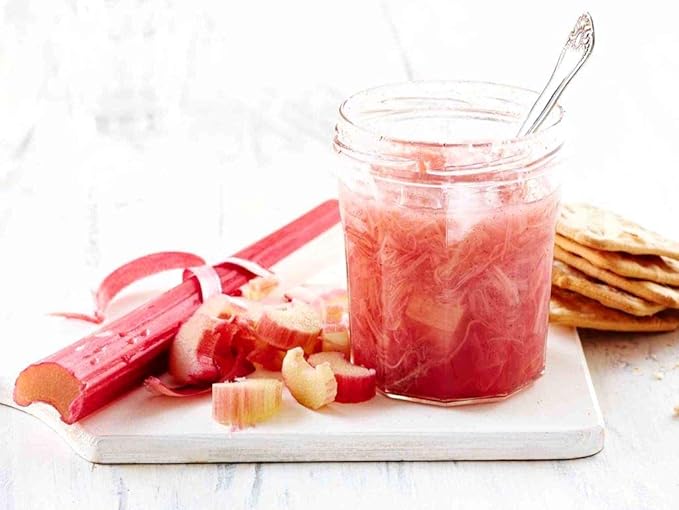 Rhubarb Seeds 50+ Seeds Garden Rhubarb Rheum Rhabarbarum Garden Vegetables Seeds