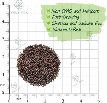 Rare Mustard Greens Seeds – 2000+ Seeds Heirloom Non-GMO, Fast-Growing Mustard Plant Seeds for Home Garden, Microgreens, and Cooking - Original Bold & Peppery Flavor