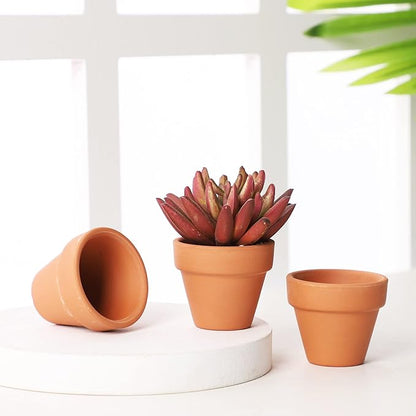 Yishang 1.9 Inch Tiny Terracotta Pots Pack of 72-Small Mini Clay Pots with Drainage Holes Flower Nursery Terra Cotta Planter for Tiny Cactus Herb lithop,Succulent Plants,Crafts,Wedding Favor