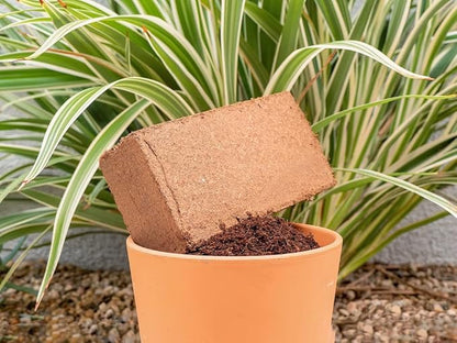 Coco Coir for Plants 3-Pack – 2.4 Gallons Compressed Coconut Coir Bricks, 10 lb. Organic, Low EC, pH Balanced Coco Peat for Indoor & Outdoor Gardening, Potting Soil, Indoor Plant Soil