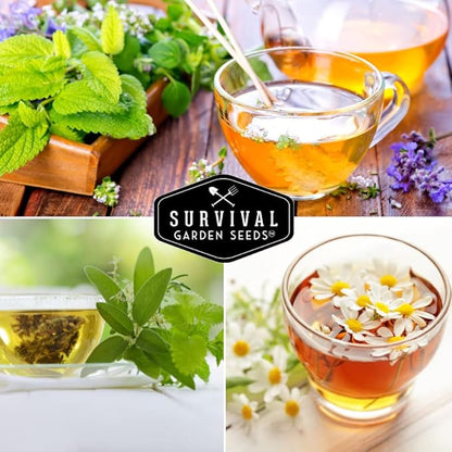 Medicinal Tea Herb Seeds for Planting | 9 Variety Pack of Heirloom, Non-GMO Herbs – Grow Herbal Teas, Natural Remedies – Home Apothecary Garden Kit – Survival Garden Seeds