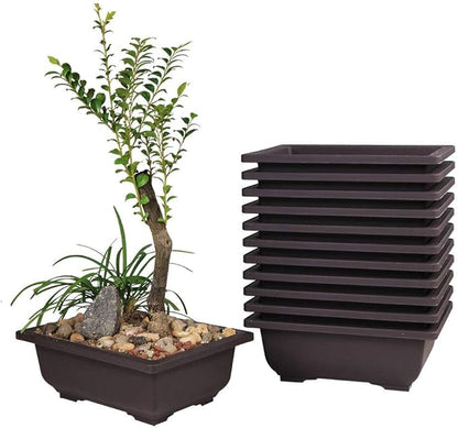 MUZHI 12PACK RetroStyle Plastic Bonsai Training Pots Balcony Indoor Rectangle Square Flower Pots 6"