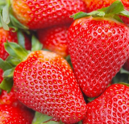 Red Climbing Strawberry Seeds Garden Fruit Seed Sweet and Delicious Everbearing Fruit Plant Home Garden 250Pcs