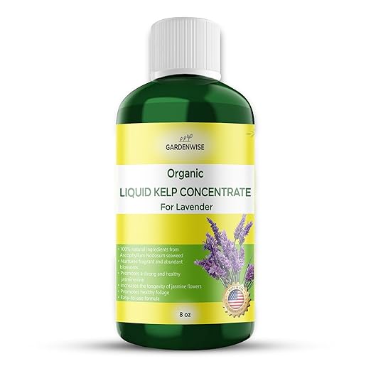 Organic Seaweed Fertilizer for Lavender - Rich Nutrients Kelp Fertilizer for Plants | Indoor & Outdoor Use - Liquid Plant Food (8 OZ)