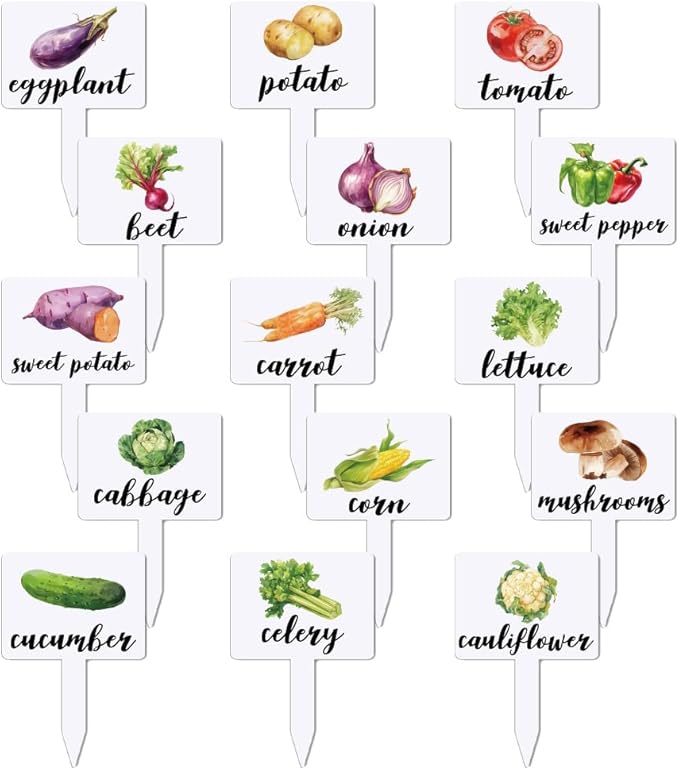 arricraft 15 Pcs Acrylic Vegetables Plant Labels, Potatoes Tomatoes Carrots Plant Markers with Handwriting Name Clear Garden Tags Sign for Seed Potted Farm Supplies Garden Gift 4x2.67inch(10.2x6.8cm)