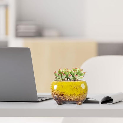 ARTKETTY Succulent Pots - Small Succulent Plant Pot with Drainage Pack of 6, Ceramic Cactus Planter Pots for Indoor Unique Flower Planter Container for Home Office Decor