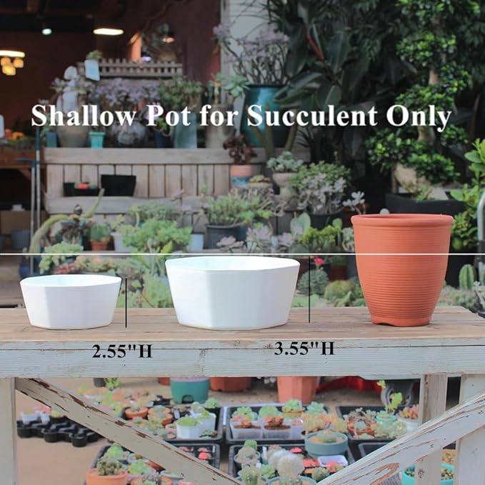 BangQiao 8 Pack 8.00 inch and 5.90 inch White Plastic Shallow Plant Pot, Octagon Bowl Planter Container with Pot Tray for Succulents, Cactus