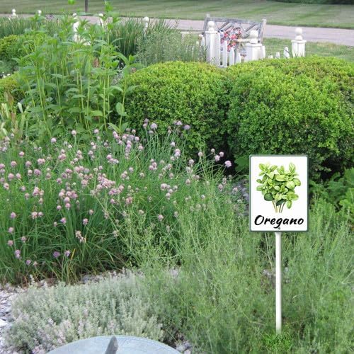 FemiaD Plant Label Signs Planted Herb Garden Markers Waterproof Aluminum Plant Stake Tags Oregano Sign for Nursery Indoor Outdoor Garden Decoration 4.6x6inch