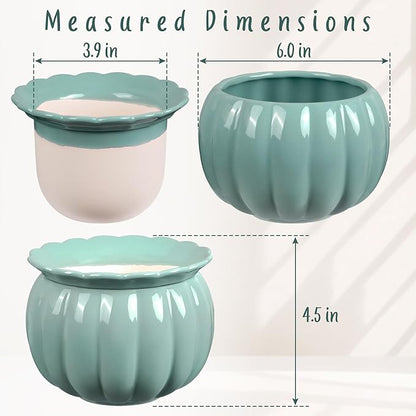 African Violet Pots, Self-Watering Ceramic Planter for Indoor Plants – 6 Inch Pot for Succulents, Herbs & Small Houseplants, Decorative Self-Watering Pot for Home & Office, Blue