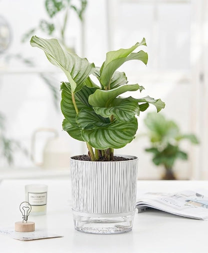 Self Watering Pots for Indoor Plants, Flower Pots, Self Watering Plant Pot-2pcs 4+5.3inch Black Stripes