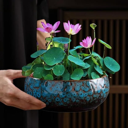 Lotus Bowl Planter, Lotus Bowls for Planting in Water Indoors, Bonsai Bowl Lotus Flower Seeds, Ceramic Planters for Indoor Plants (Blue)