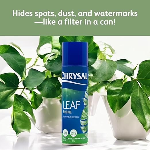 Chrysal Leaf Shine Spray for Indoor Plants – Flower Arrangement Spray for Flower Bouquets, House Plants, & More – Environmentally Safe Plant Cleaner Removes Dust – Flower & Gardening Supplies (2 Pack)