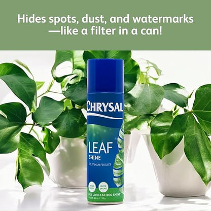 Chrysal Leaf Shine Spray for Indoor Plants – Flower Arrangement Spray for Flower Bouquets, House Plants, & More – Environmentally Safe Plant Cleaner Removes Dust – Flower & Gardening Supplies (2 Pack)