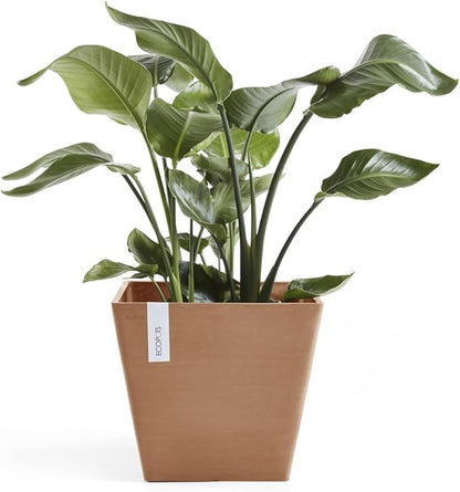 Ecopots Rotterdam Durable Modern Square Indoor/Outdoor Recycled-Based Composite Flower Planter, Terracotta Color, 15.75"