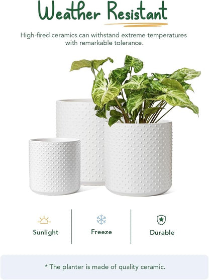 LE TAUCI Ceramic Pots for Plants, 10/8/6 Inch Indoor Planters with Draiange Hole, Silicone Plug & Mesh Pad, Modern Rasied-Dots Pots for Home Office, Set of 3, Satin, White