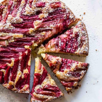 TomorrowSeeds - Victoria Rhubarb Seeds - 1200+ Count - for 2026 Planting USA Garden Vegetable Perennial Red Rheum Huang Celery Rubharb Non-GMO Heirloom Grow Your Own Home Farm Patio Healthy