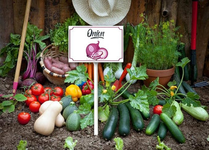 Boylee 8x12inch Aluminum Garden Signs for Vegetables, Onion, Modern Style with Stake and Mounting Hardware