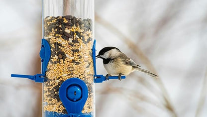 BROWNIE Brand White Proso Millet Bird Feed for Bird Feeder | Premium Wild Bird Food for Sparrows, Finches, and Doves | High-Energy, Non-GMO, All-Season Feed for Feeders (5 Pound)