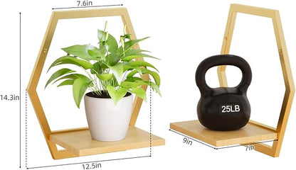 Modern Golden Hexagon Wall Planters with Solid Wood Shelves Set of 3 Geometric Floating Wall Decor for Indoor Plants, Stylish Wall Mounted Display for Succulents & Small Plants