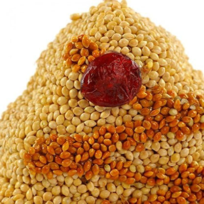 Mr. Bird Christmas Shapes Bird Seed Ornament Treats... (1)
