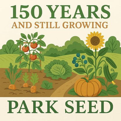 Park Seed Zinnia Flower Planting Seeds, Easy to Grow, Perfect for Spring Garden, Park's Picks Deep Red, Pack of 50