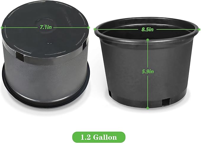 Planter Nursery Pots 2 Gallon Pots for Plants, Injection Molded Plastic Nursery Pots, 9 inch Plant Container 1.2 Gal Liquid Volume 10-Pack
