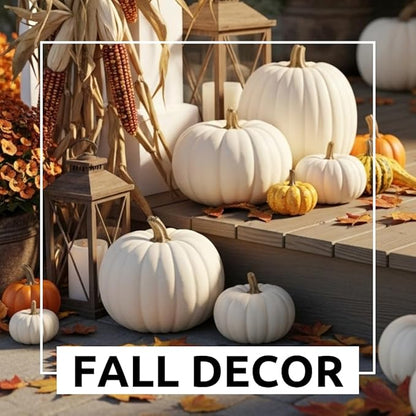 Polar Bear Pumpkin Seeds for Planting (10 Seeds) – Rare Giant White Pumpkin Variety – Grow Stunning 50–75 lb Pumpkins – Perfect for White Ghost Jack-O’-Lanterns and Fall Displays