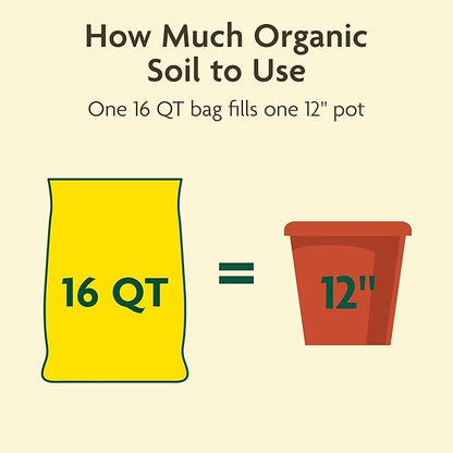 Miracle-GRO Organic Outdoor Potting Mix, for Outdoor Container Plants, Contains Quick-Release Natural Fertilizer, OMRI Listed, 16 qt.