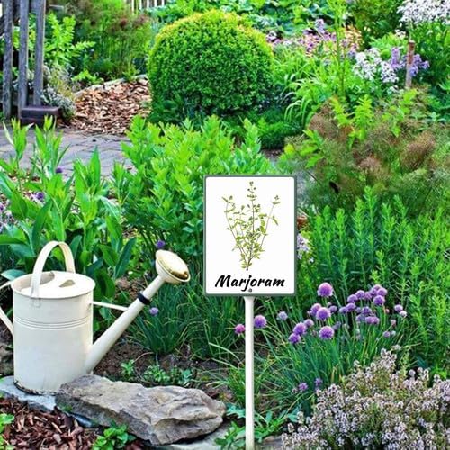 FemiaD Plant Label Signs Planted Herb Garden Markers Waterproof Aluminum Plant Stake Tags Marjoram Sign for Nursery Indoor Outdoor Garden Decoration 4.6x6inch