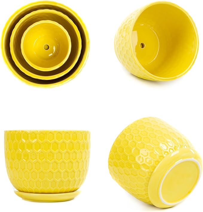 Yellow Ceramic Flower Pots with Saucers, Modern Round Ceramic Succulent Plant Pots with Honeycomb Inspired Texture Design, Small to Medium Sized, Set of 3