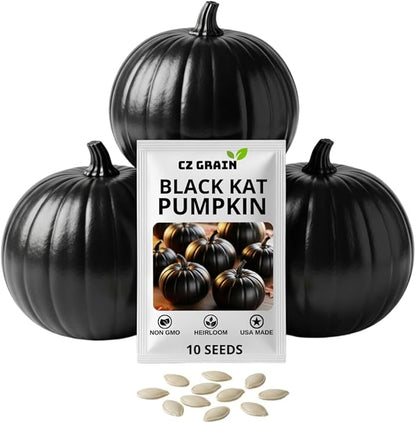 Exotic Black Kat Pumpkin Seeds for Planting (10 Seeds) – Deep Black, Smooth-Skinned Pumpkins – Rare Decorative Variety for Fall Gardens, Halloween Displays & Autumn Décor