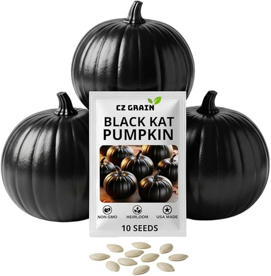 Exotic Black Kat Pumpkin Seeds for Planting (10 Seeds) – Deep Black, Smooth-Skinned Pumpkins – Rare Decorative Variety for Fall Gardens, Halloween Displays & Autumn Décor