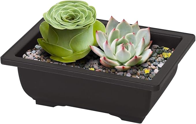 MANCHAP 24 PCS 6.5 Inch Plastic Bonsai Training Pots, Rectangular Bonsai Tree Planter Pot for Garden, Yard, Office, Home Decorative