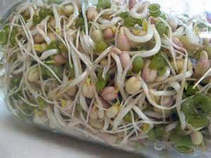 Mung Bean Sprouting Seed - 12 Oz - Country Creek Brand - Dried Mung Beans for Sprouts, Garden Planting, Chinese & Asian Cooking, Soup & More
