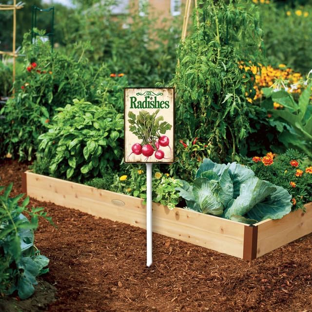 Uptell Vintage Vegetable Signs for Garden with Stake Radishes Yard Sign Vegetable Garden Label Stakes Plant Markers for Outdoor Plants Waterproof 8.8x7inch