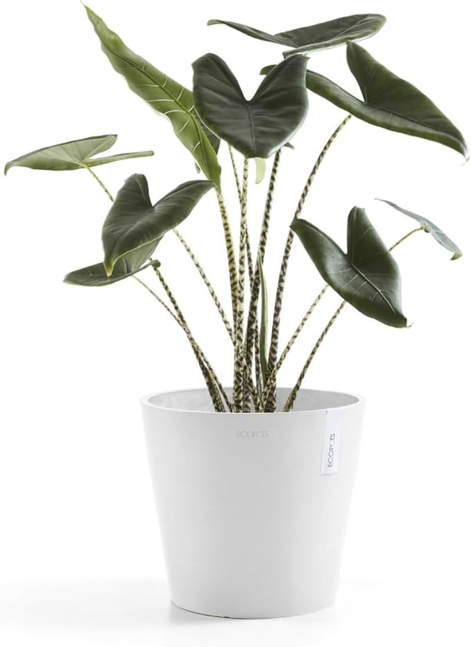Ecopots Amsterdam Durable Modern Round Indoor/Outdoor Recycled-Based Composite Flower Pot Planter, Pure White, 10"
