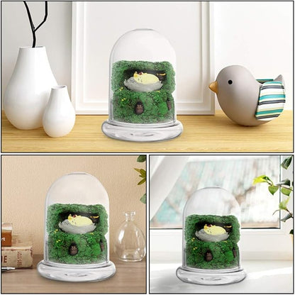 Cabilock 2pcs Clear Glass Bell Jar Cloche Dome Display Centerpiece Decorative Case Tabletop Containers Mini Glass Terrarium Garden Vases for Ferns Succulents Bromeliads