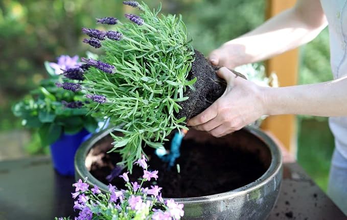 Gardenera Premium Moisture Control Potting Mix - Get The Perfect Balance of Moisture and Nutrients for Your Plants! - 3 Quart