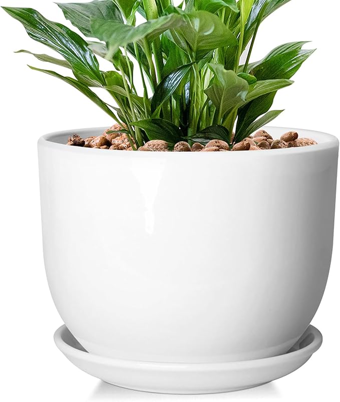 8 Inch Ceramic Planter, Plant Pots with Drainage Hole and Separable Saucer,Indoor-Outdoor Round Succulent Orchid Flower Pot,Indoor pots for Plants(Smooth White,Plant Pot only)