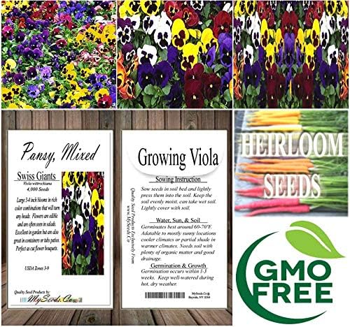 Big Pack - Pansy, Mixed Flower Seed (4,000 Seeds) - Viola wittrockiana 'Swiss Giants' - Edible Flower Seeds (Big Pack - Pansy Mix)