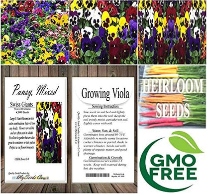 Big Pack - Pansy, Mixed Flower Seed (4,000 Seeds) - Viola wittrockiana 'Swiss Giants' - Edible Flower Seeds (Big Pack - Pansy Mix)