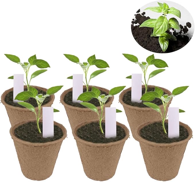 100 Pack 3.15" Round Biodegradable Peat Pots Plant Seedling Saplings & Herb Seed Starters Kit with 100 Pcs White Plastic Plant Labels