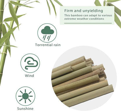Natural Bamboo Stakes for Plants (50-Pack), 4 Feet Eco-Friendly Garden Stakes for Tomatoes, Vines, Flowers, Climbing Vines, and Outdoor Plants